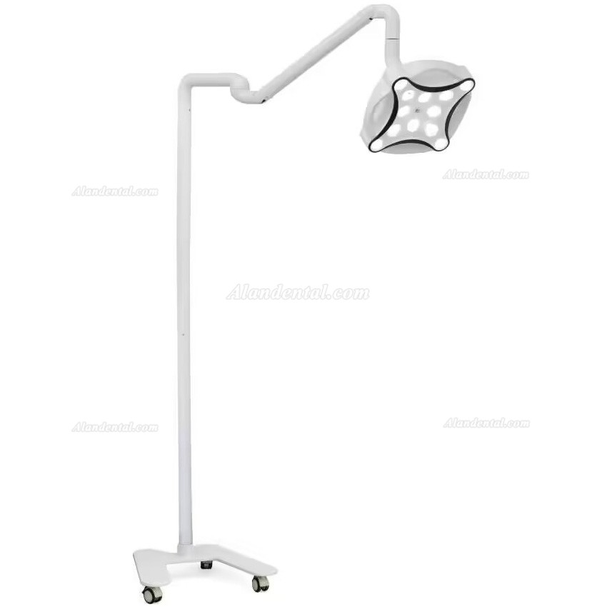 Micare JD1700 LED Minor Surgical Lamp Shadowless Light Operation Lamp For Dental Clinic